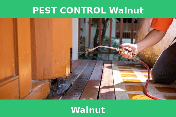 PEST CONTROL Walnut